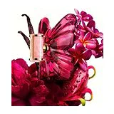Парфюмерная вода Carolina Herrera La Bomba Eau de Parfum женская 80 мл фото 8