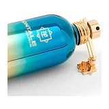 Парфюмерная вода Montale Day Dreams Eau de Parfum унисекс 100 мл фото 7