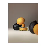 Парфюмерная вода Vilhelm Parfumerie Black Citrus Eau de Parfum унисекс 100 мл фото 5