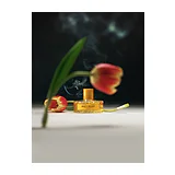 Парфюмерная вода Vilhelm Parfumerie Dirty Velvet Eau de Parfum унисекс 100 мл фото 5