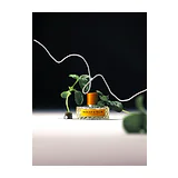 Парфюмерная вода Vilhelm Parfumerie Basilico & Fellini Eau de Parfum унисекс 100 мл фото 5
