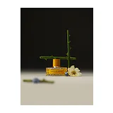 Парфюмерная вода Vilhelm Parfumerie Poets of Berlin Eau de Parfum унисекс 100 мл фото 6