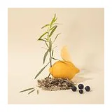 COMPAGNIE DE PROVENCE Delicate liquid marseille soap 300 мл - жидкое мыло для тела и рук фото 3