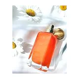 Духи Jeroboam Gozo Parfum унисекс 100 мл, теплый пряный тубероза аромат фото 2