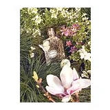 ETRO White Magnolia 100 мл парфюмерная вода в текстильном футляре унисекс фото 4