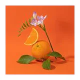 COMPAGNIE DE PROVENCE ORANGE BLOSSOM 300 мл - увлажняющее жидкое мыло для тела и рук фото 4