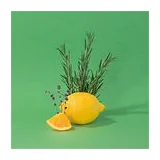COMPAGNIE DE PROVENCE Revitalizing Rosemary 300 мл - жидкое мыло для тела и рук фото 4
