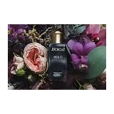 Духи Jeroboam Insulo Extrait de Parfum унисекс 30 мл, сладкий гурман аромат фото 4