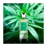Парфюмерная вода Jul et Mad Paris Ganja Oud Eau de Parfum унисекс 100 мл фото 3