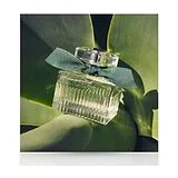 Chloe ROSE NATURELLE INTENSE Парфюмерная вода для женщин 50 мл фото 3
