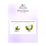 Botanicae Patio Парфюмерная вода унисекс 100 мл фото 6