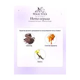 Al Haramain Perfumes L'Aventure Knight Парфюмерная вода мужская 100 мл фото 5