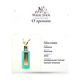 PARIS CORNER Celestial Парфюмерная вода мужская 100 мл фото 5