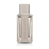 Salvatore Ferragamo Ferragamo Bright Leather Туалетная вода мужская 100 мл фото 1