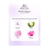 Acca Kappa Calycanthus Парфюмерная вода женская 100 мл фото 4