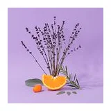 COMPAGNIE DE PROVENCE Ароматная лаванда Hand Cream 30 мл - крем для рук фото 5