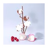 COMPAGNIE DE PROVENCE Cotton Flower 300 мл - увлажняющий лосьон для тела и рук фото 4
