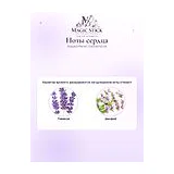 Acqua di Parma Colonia Futura Одеколон унисекс 180 мл фото 7