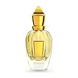 XERJOFF Shooting Stars Dhajala Parfum 50 мл - духи фото 2