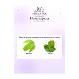 Bois 1920 Cannabis Парфюмерная вода унисекс 50 мл фото 5