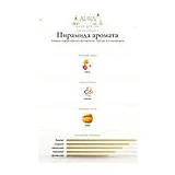 Frederic Malle Editions de Parfums Vetiver Extraordinaire Парфюмерная вода унисекс 100 мл фото 4