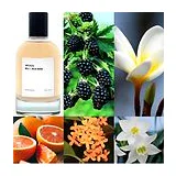 ARCADIA No.6 Milk Musk 100 мл парфюмерная вода унисекс фото 2