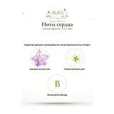 Lacoste Fragrances L.12.12. Bleu Парфюмерная вода мужская 4.5 мл фото 4