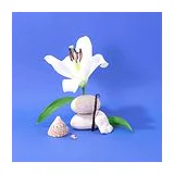 COMPAGNIE DE PROVENCE Набор: Mediterranee жидкое мыло для тела и рук 300 мл + санитайзер 100 мл фото 6