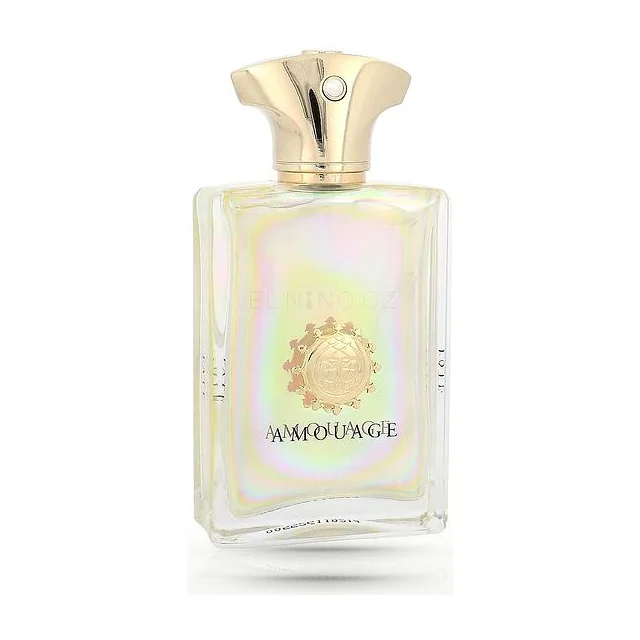 Amouage Fate Парфюмерная вода 50 мл Amouage купить