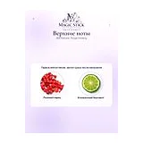 BDK Parfums Rouge Smoking Парфюмерная вода унисекс 100 мл фото 5