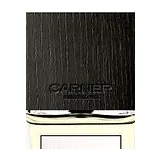 Carner Barcelona Tardes Парфюмерная вода женская 100 мл фото 3