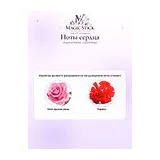 Acqua di Parma Luce di Rosa Парфюмерная вода унисекс 5 мл фото 5