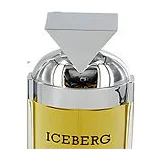 Iceberg Twice Туалетная вода женская 100 мл фото 9