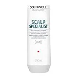Goldwell DSN SCALP Specialist шампунь против перхоти 250 мл фото 1