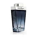 Salvatore Ferragamo Subtil Pour Homme Туалетная вода мужская 100 мл фото 1