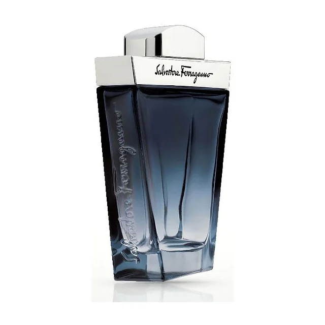 Salvatore Ferragamo Subtil Pour Homme Туалетная вода мужская 100 мл Salvatore Ferragamo купить