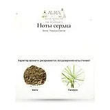 Brioni Papyrus ternel Духи унисекс 80 мл фото 4
