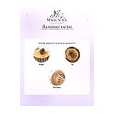 Guerlain Aqua Allegoria Forte Oud Yuzu Парфюмерная вода унисекс 75 мл фото 6