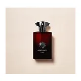 Amouage Lyric Парфюмерная вода для мужчин 100 мл фото 1