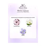 Les Soeurs de Noe Forbidden Nectar Парфюмерная вода женская 100 мл фото 6