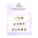 French Avenue Royal Blend Vintage Парфюмерная вода унисекс 100 мл фото 4