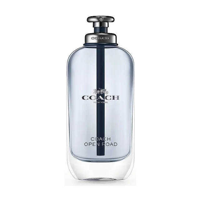 Coach Open Road Туалетная вода мужская 100 мл COACH купить