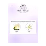Guerlain With Love Туалетная вода женская 50 мл фото 4