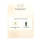 Mizensir Perfect Oud Парфюмерная вода унисекс 100 мл фото 6