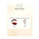 Amouage Opus XV King Blue Парфюмерная вода унисекс 100 мл фото 5