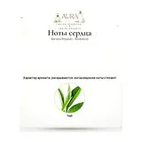 Banana Republic Rosewood Парфюмерная вода женская 100 мл фото 5