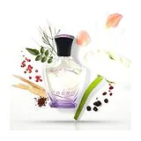 CREED Fleurs De Gardenia Парфюмированная вода для женщин 2,5 мл фото 5