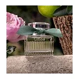 Chloe ROSE NATURELLE INTENSE Парфюмерная вода для женщин 30 мл фото 3