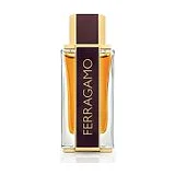 Salvatore Ferragamo Ferragamo Spicy Leather Духи мужские 100 мл фото 1