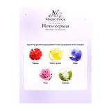 New Notes Rosa Limone Духи унисекс 50 мл фото 5